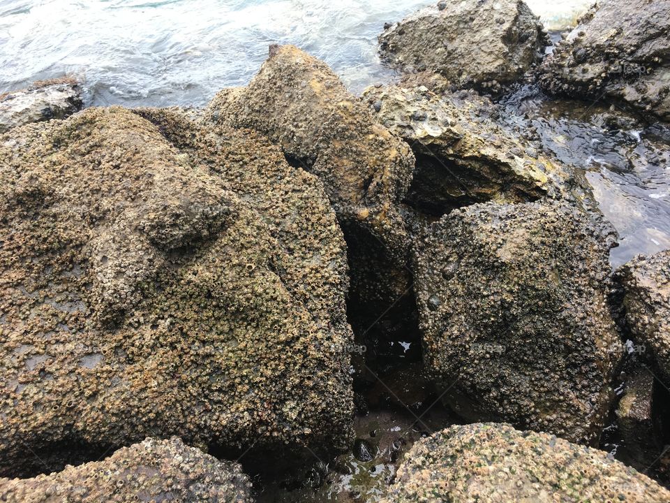 Sea -rocks -water 