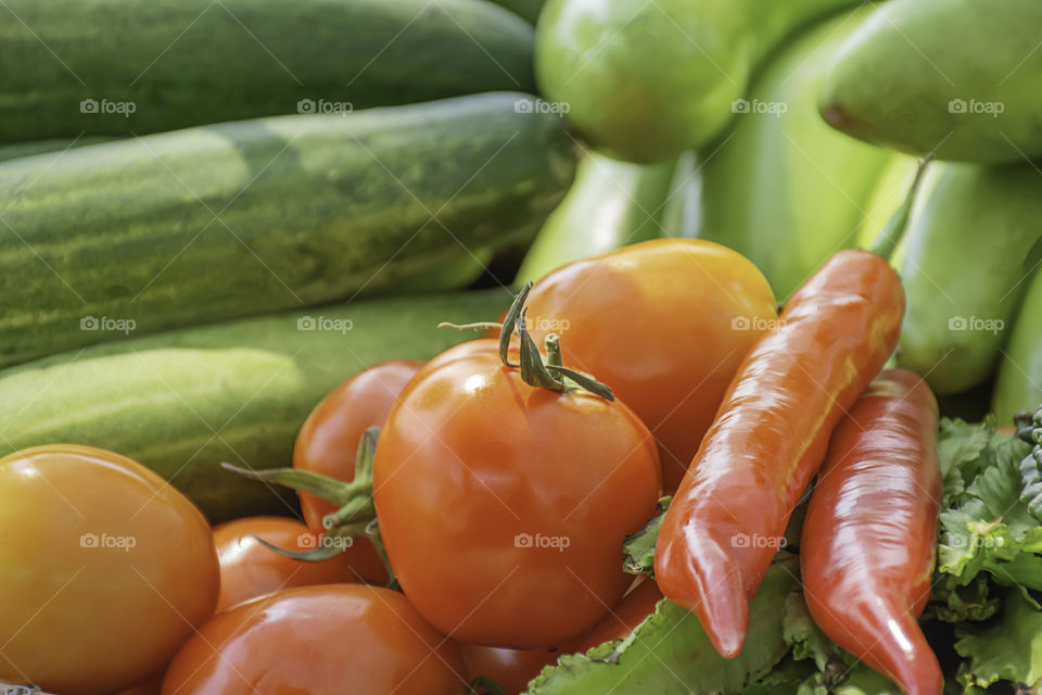 Tomato , Cucumber , eggplant  and red chilli The native vegetation of Thailand