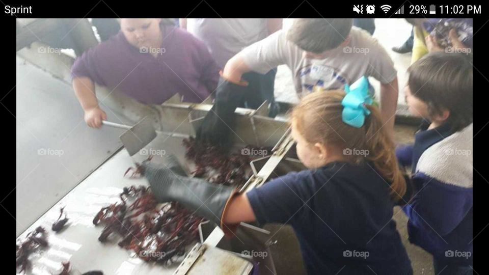 Learning about Crawfish
