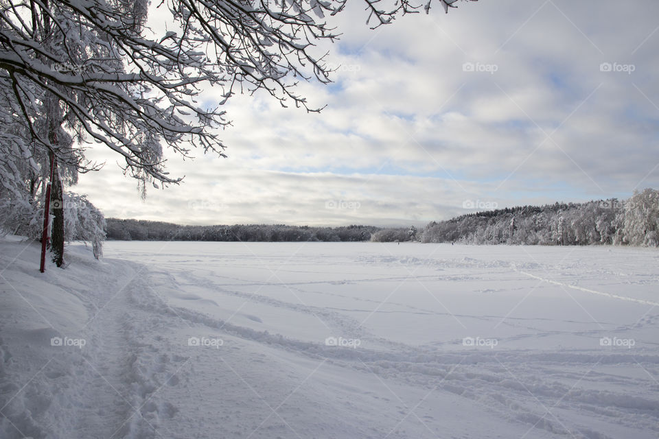 Winter- lake & forest - lots of snow  - vinter snö sjö skog