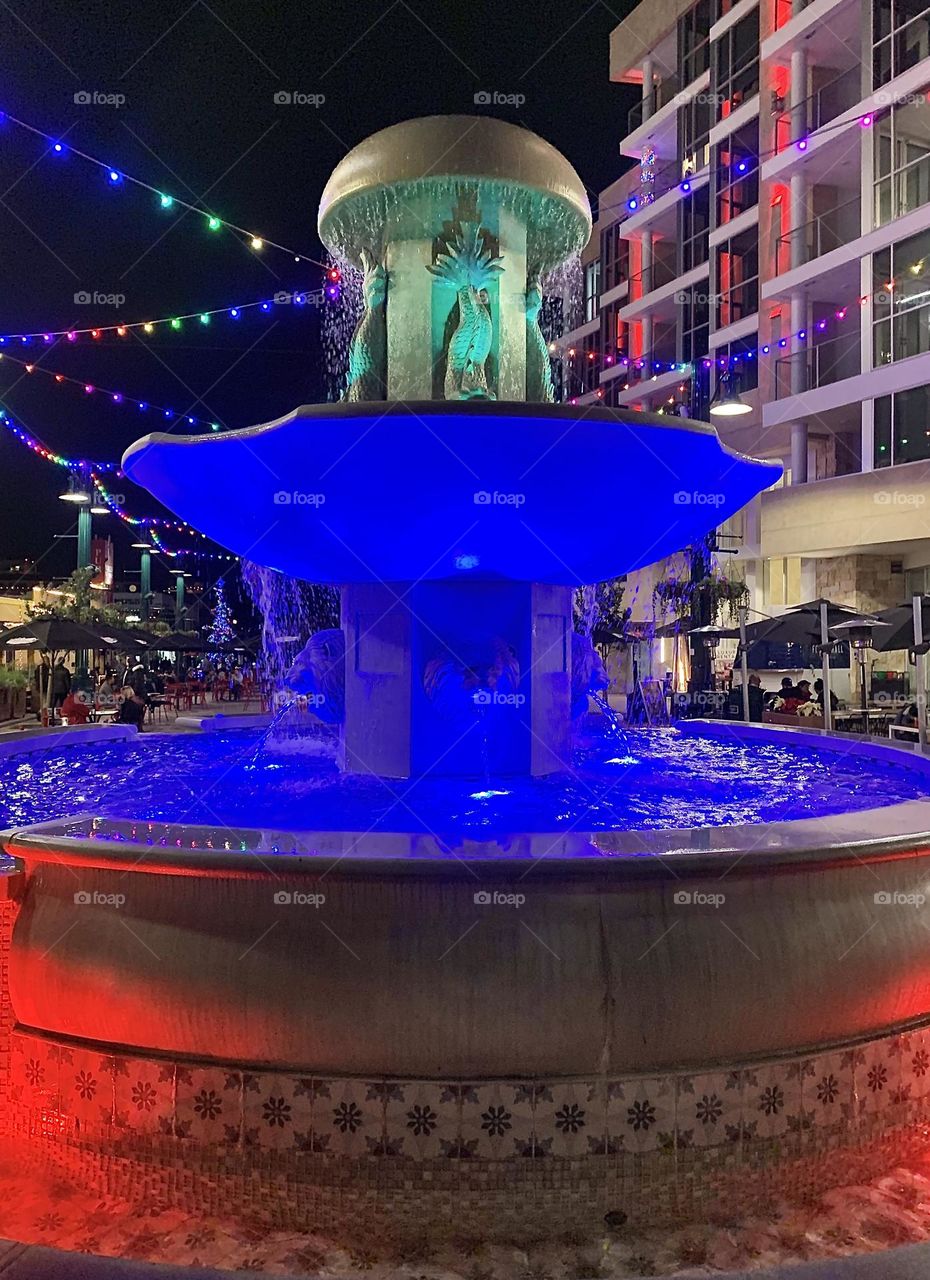 Tis the season to be Merry and Jolly, a different type of holiday season in San Diego! 