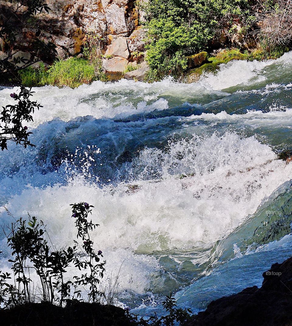 The whitewater rapids of Dillon Falls rush through a canyon on the Deschutes River on a sunny day. 