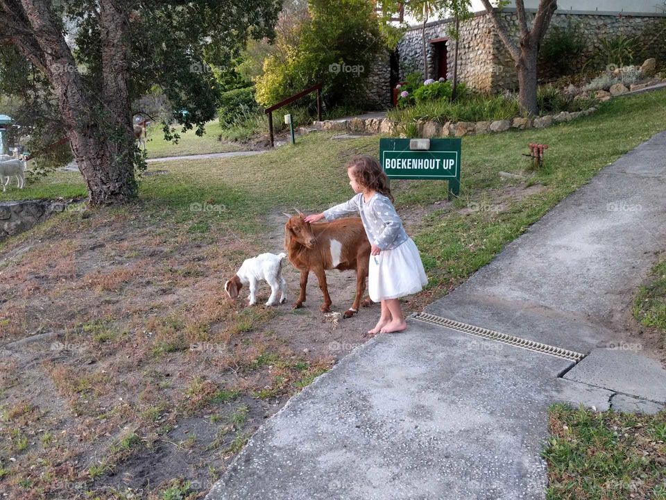Girl and goat, Hermanus, South Africa