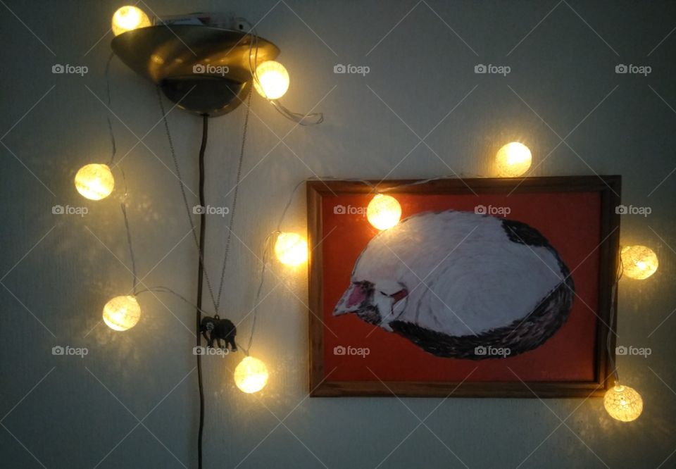 cat picture and Christmas lights on a wall in the room