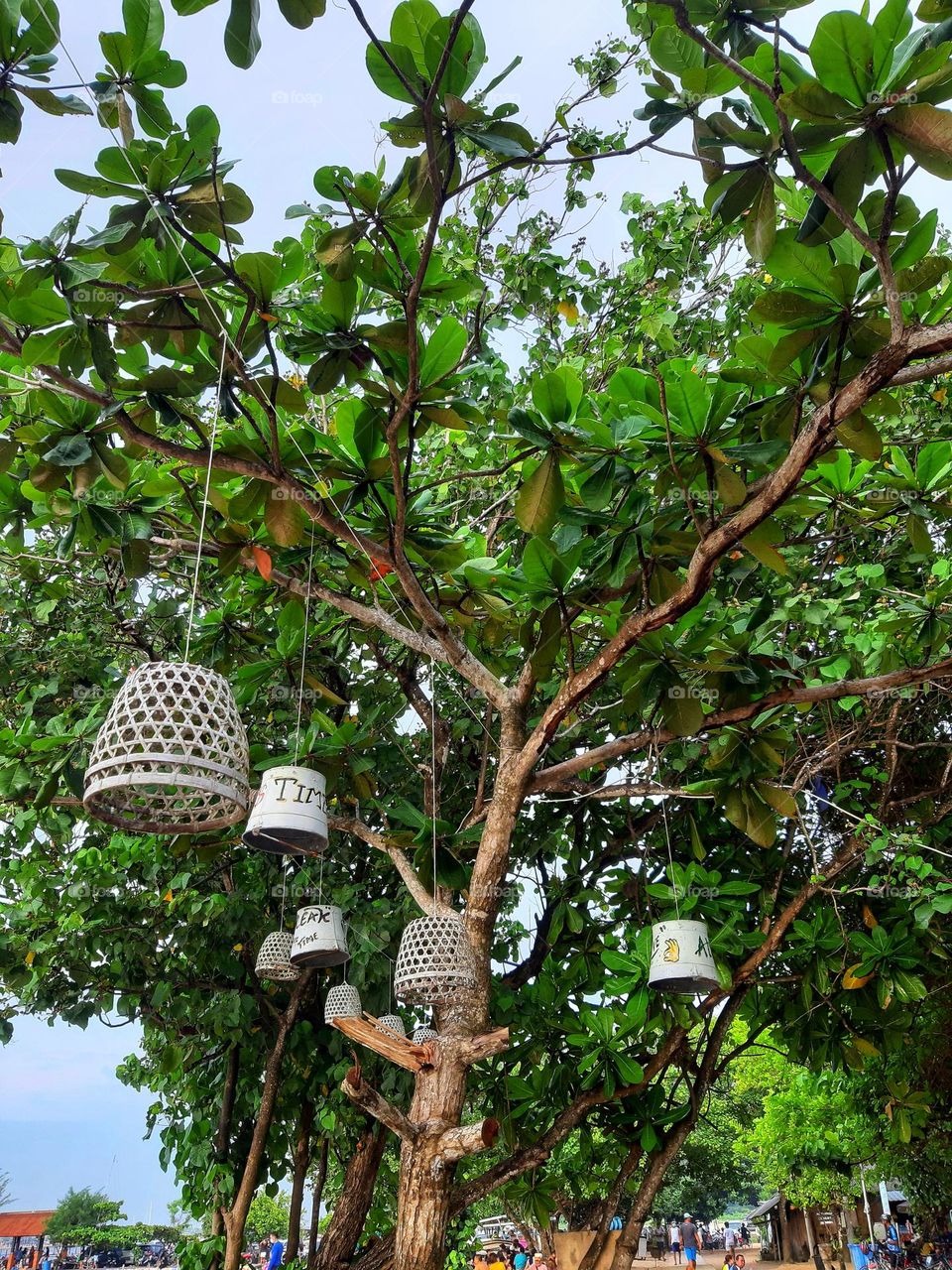 hanging lamps as good outdoor decoration placed in a tree