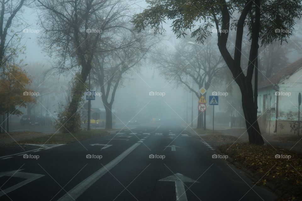 Fog