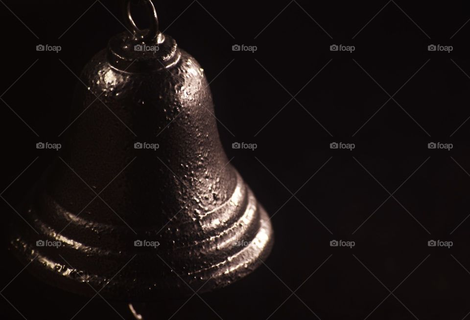 Sino dourado/Golden bell.