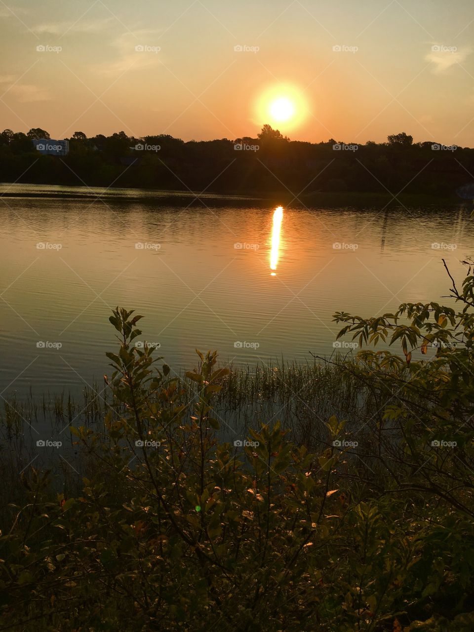 Sunrise on the river