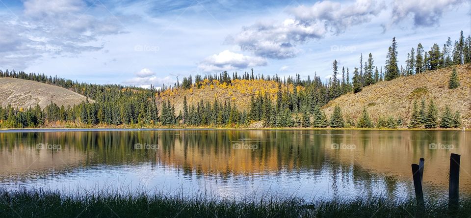 Fall colors in blurry wind tusseled reflection