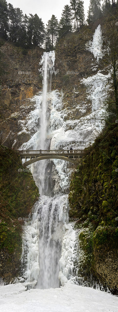 Multnomah falls winter
