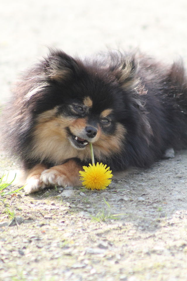 Enjoing the summer.