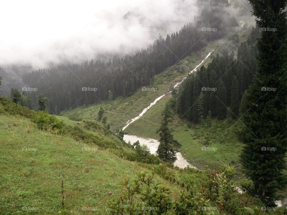 view from the above cool and beautiful view fresh and clean environment atmosphere natural beauty greenery amazing veiw