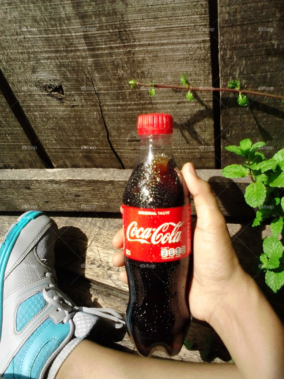 cocacola and me