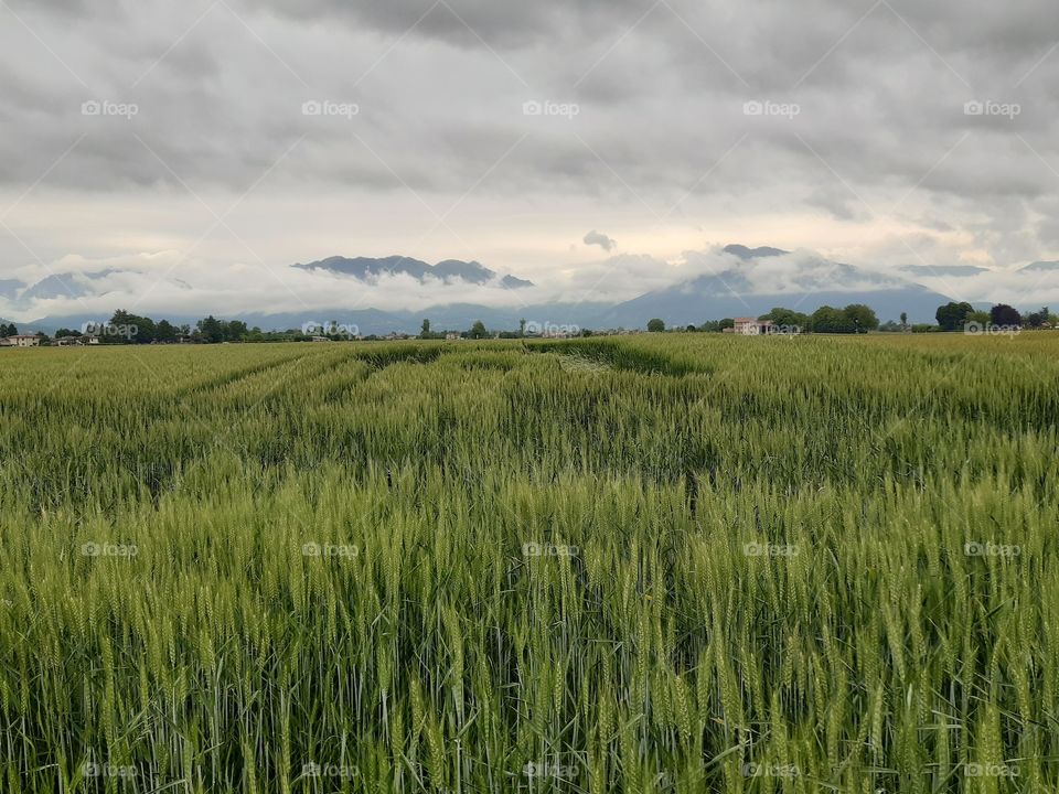 bad conditions in the country