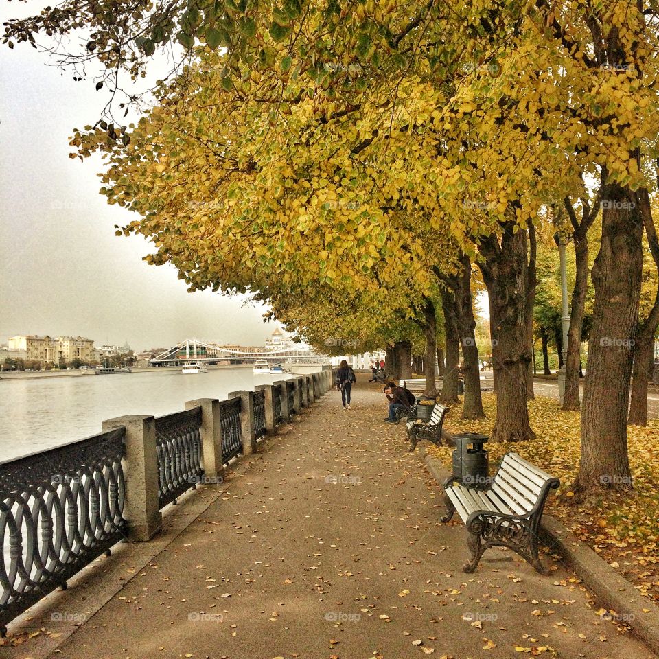 Strolling through the autumn park, Moscow, Russia 