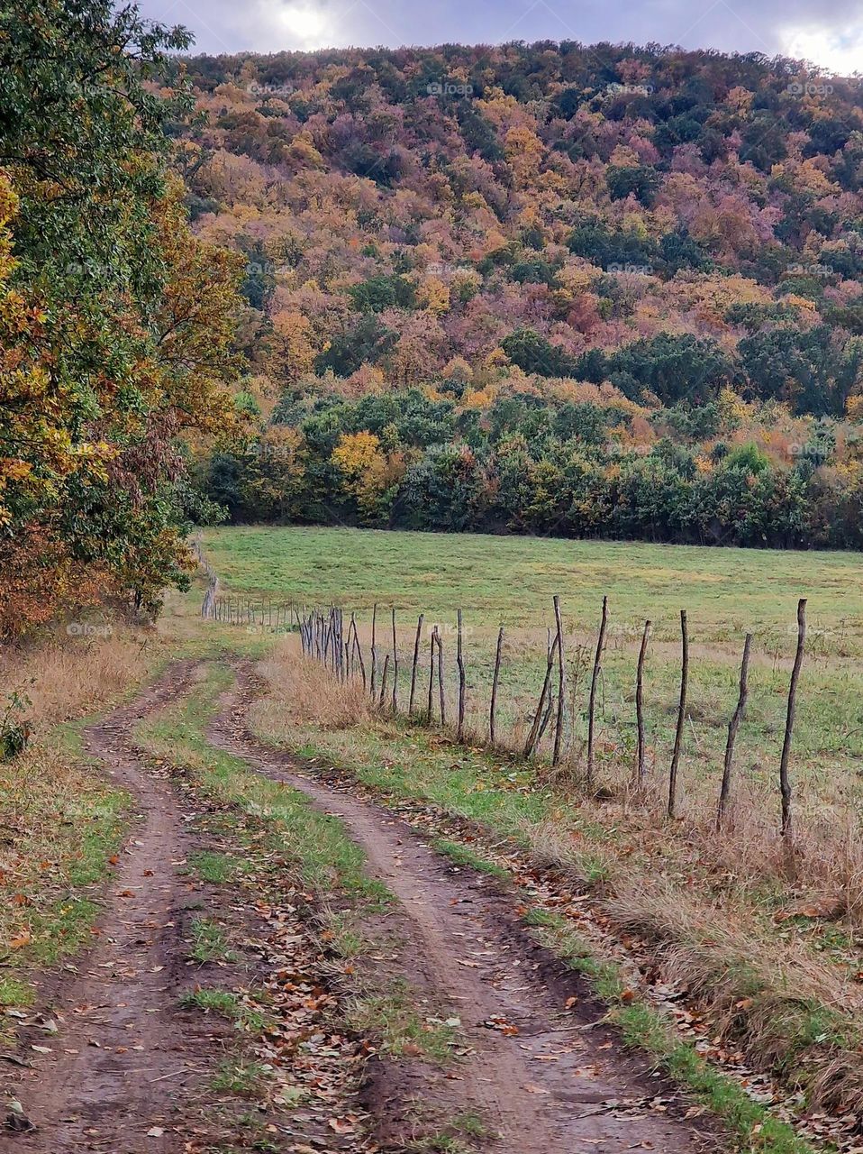 autumn landscape