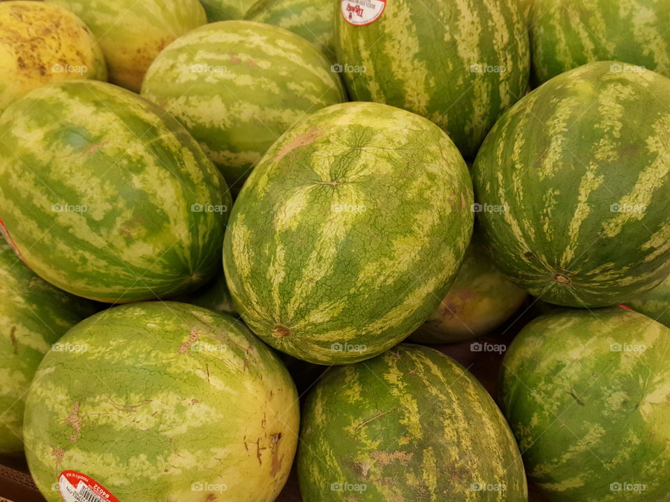 melon