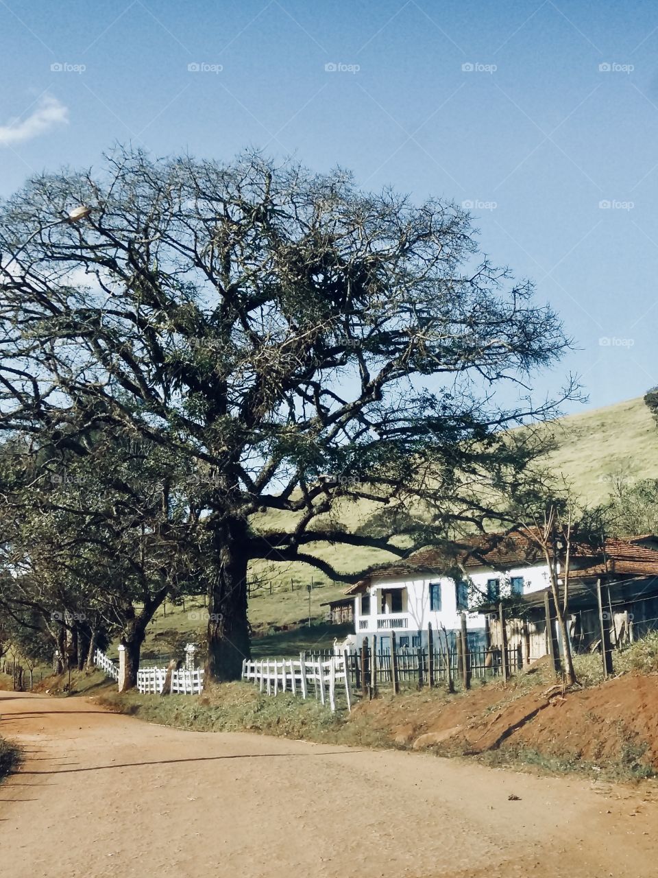 O caminho da roça - Sul de Minas Gerais Brasil