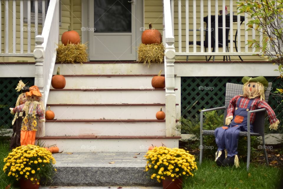 Pumpkin everything and spices autumn colors 