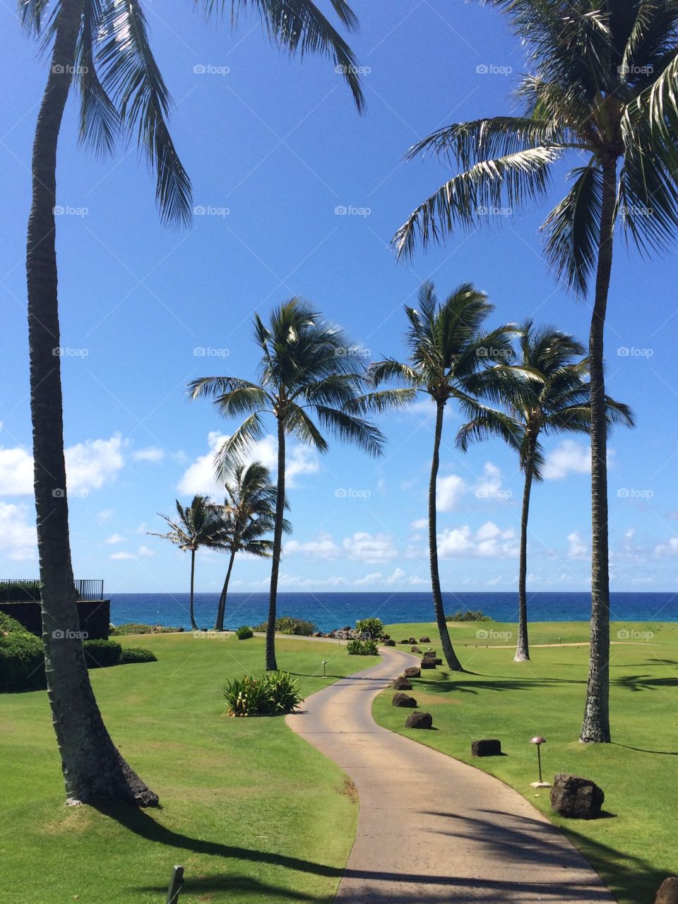 Walkway to paradise . Walkway to paradise 