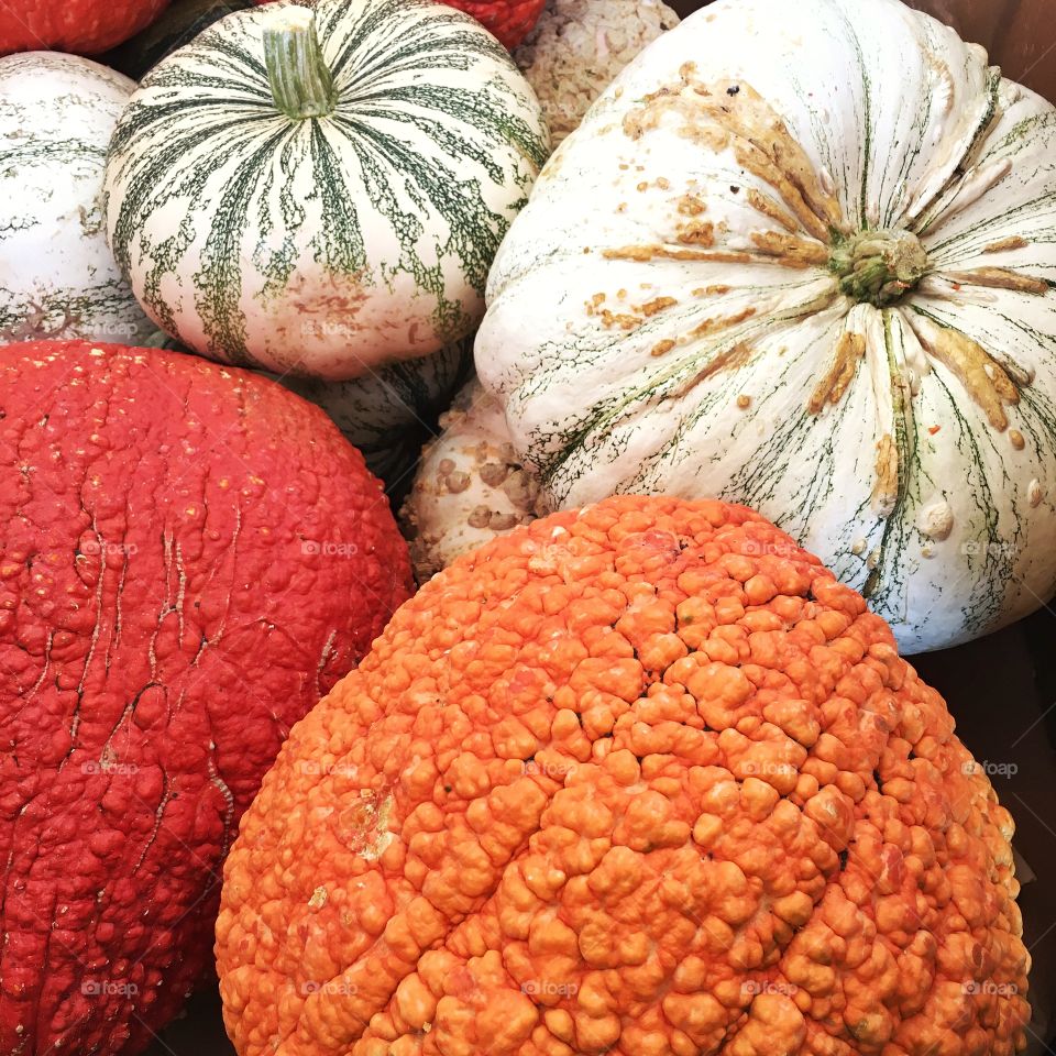 Falling for pumpkins