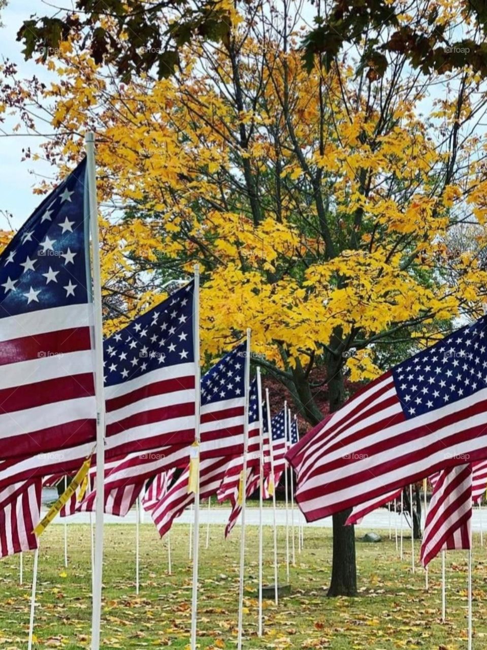 Land of the free because of the brave