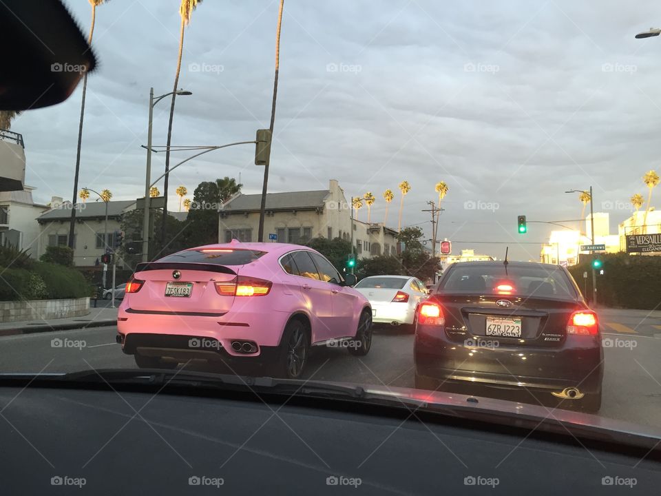 Pink Whip