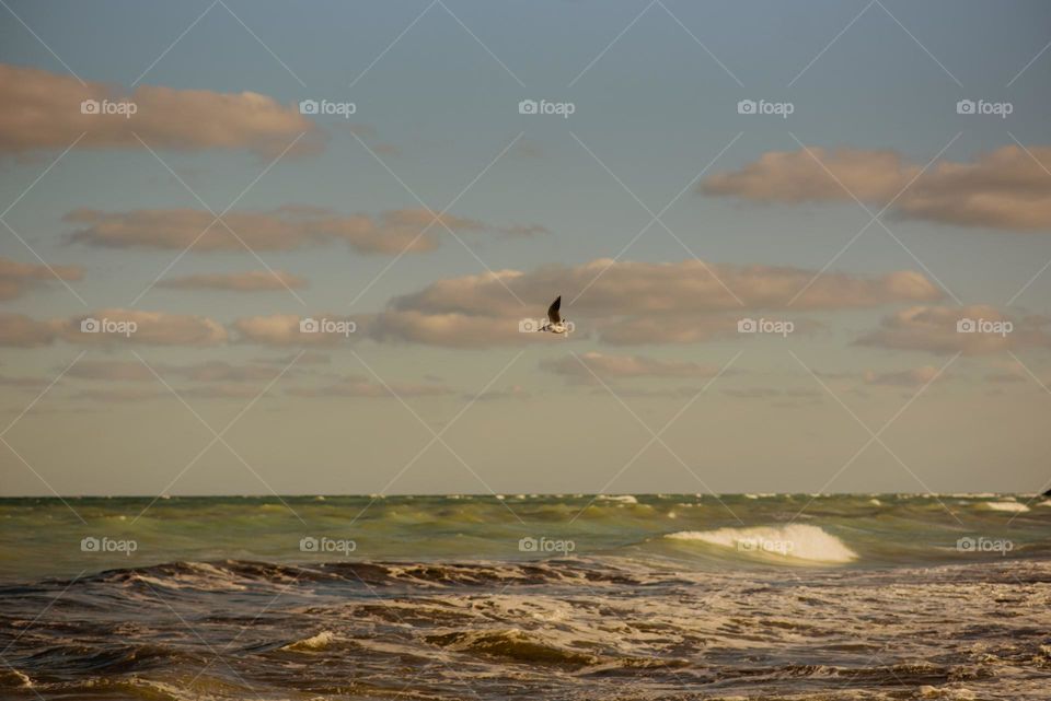 flying above the sea