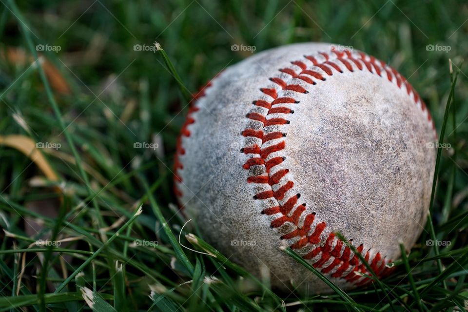 Baseball 