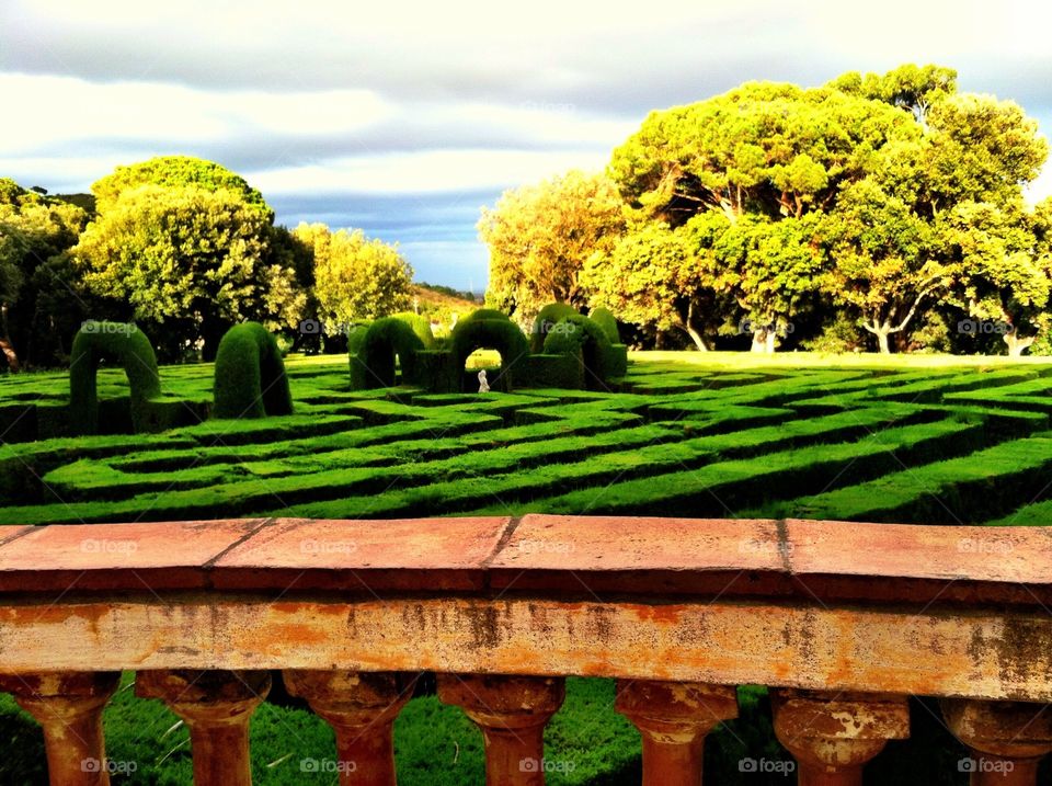 Garden, No Person, Grass, Tree, Nature