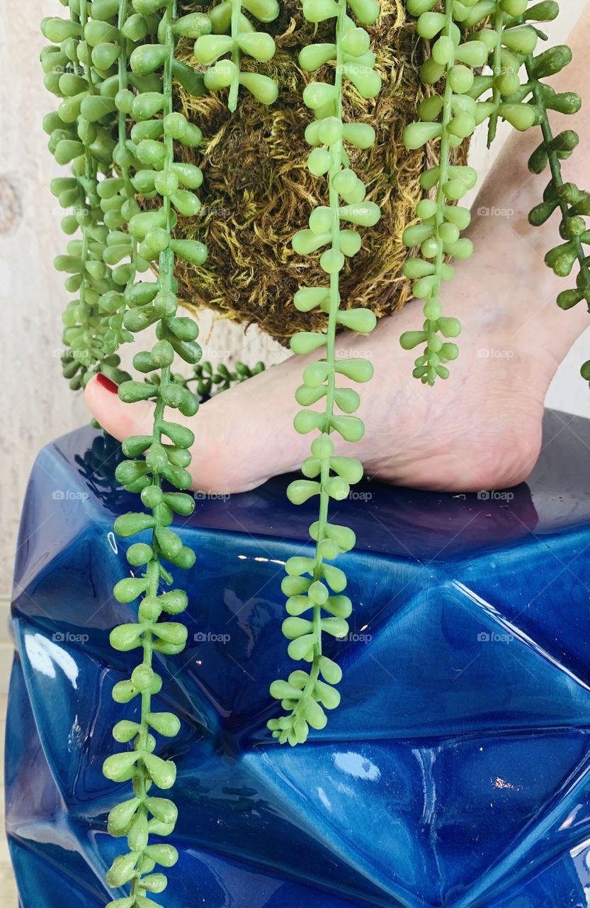 Step into Mother Nature 