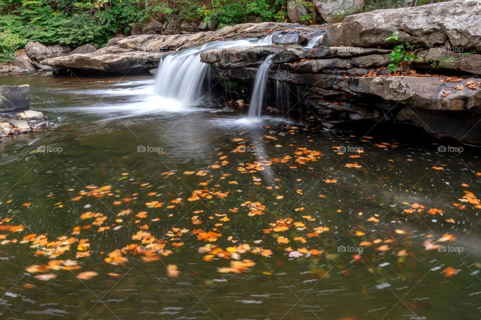 Waterfall and Fall Leaves