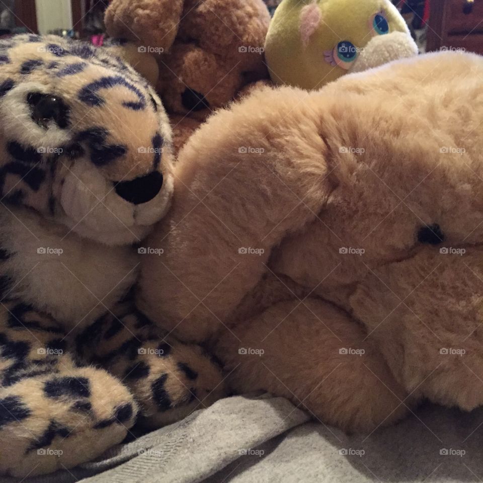 Most people box up their childhood belongings, not me, I love to look at them. I still feel a great attachment to these stuffed animals. I know their names and remember the times they helped me through. I will never throw them out. 