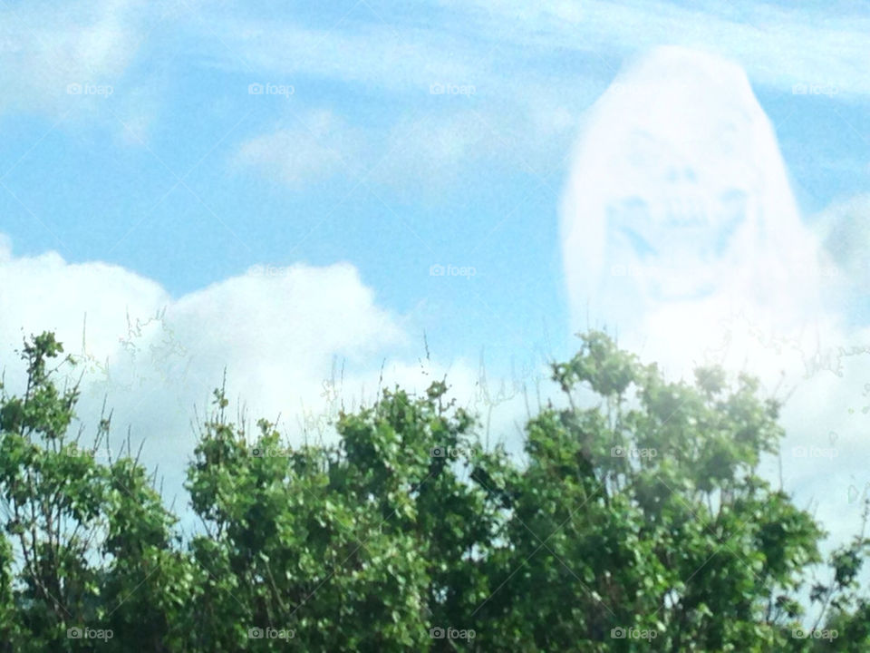GHOST, CLOUDS, TREE