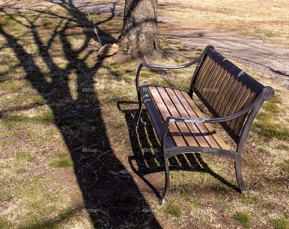 A black and brown park bench with the shadow of a tree dwarfing it. 