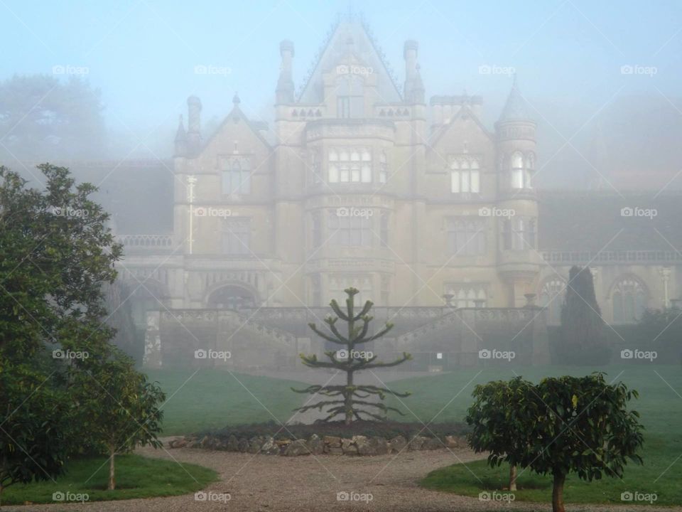Tyntesfield in the morning mist