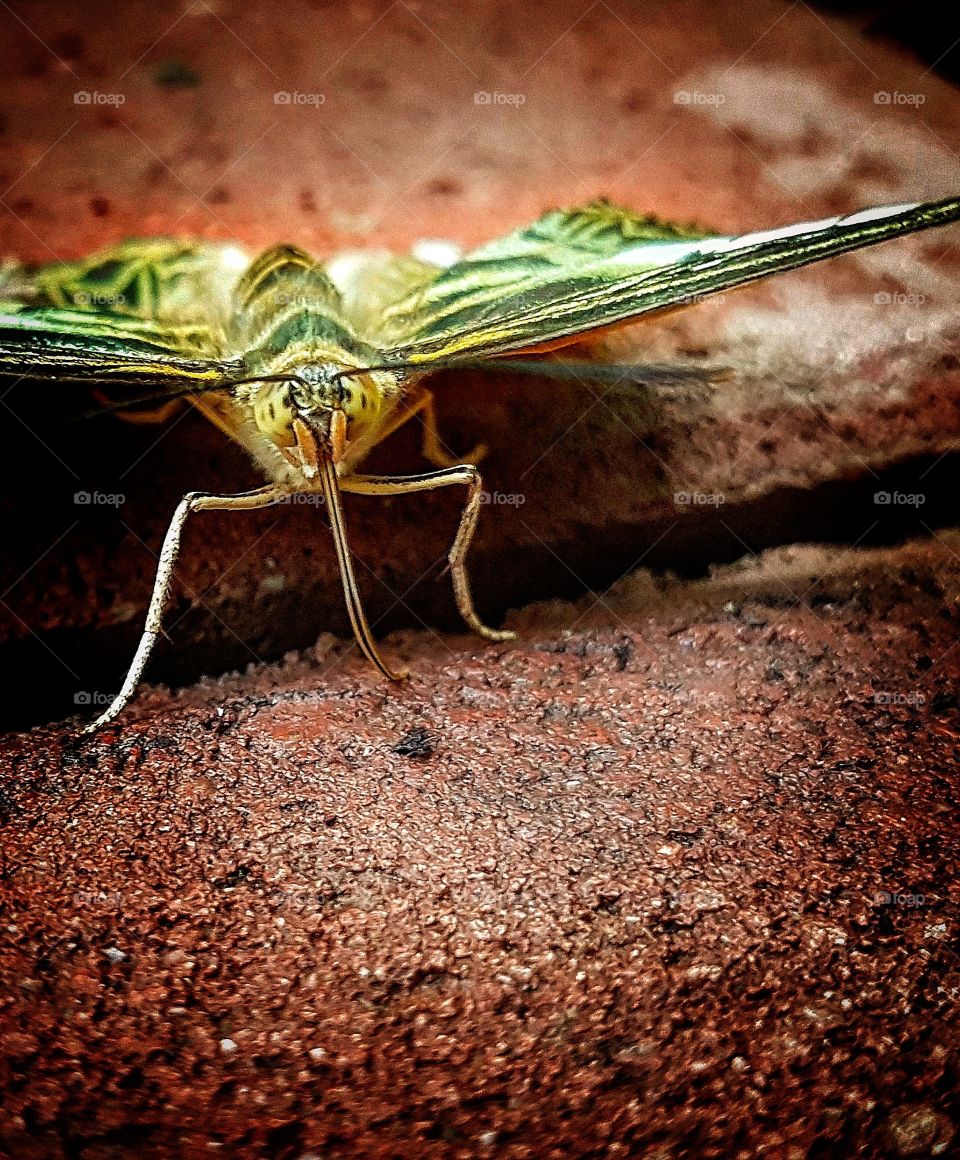 Resting on the groundlevel