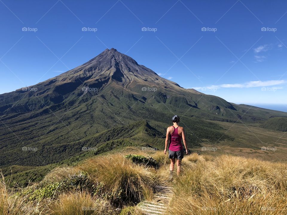 Hiking along the Pouakai Circuit in perfect weather with a beautiful view  of Mount Taranaki up ahead 