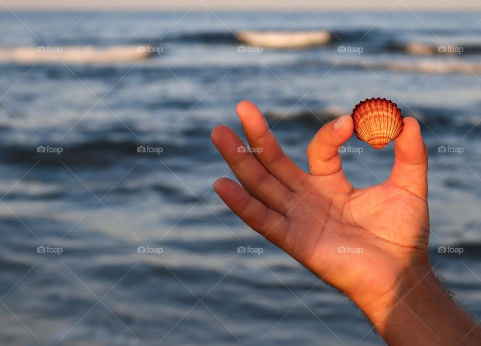 The hand of a young caucasian man holds a seashell with two fingers against the backdrop of the sea at evening sunset, close-up side view.