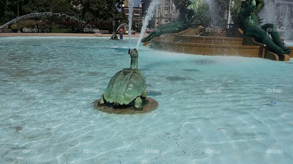 Turtle sculpture in fountain in Philadelphia