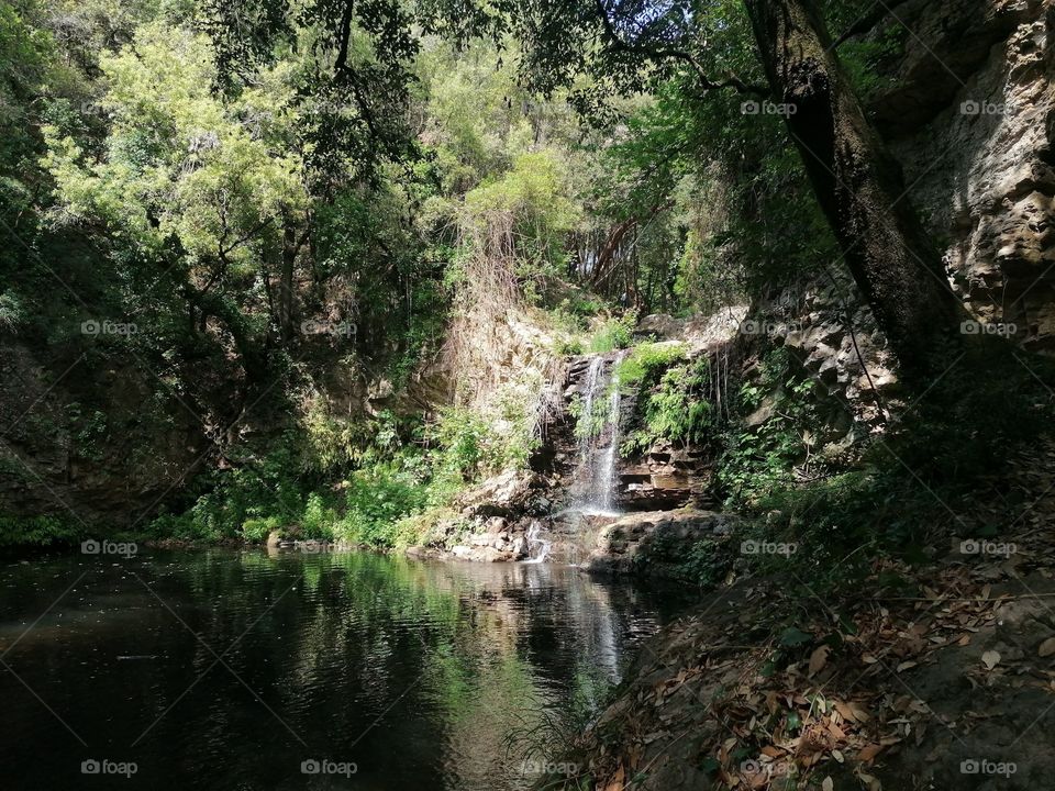 immersed in nature 🏞️