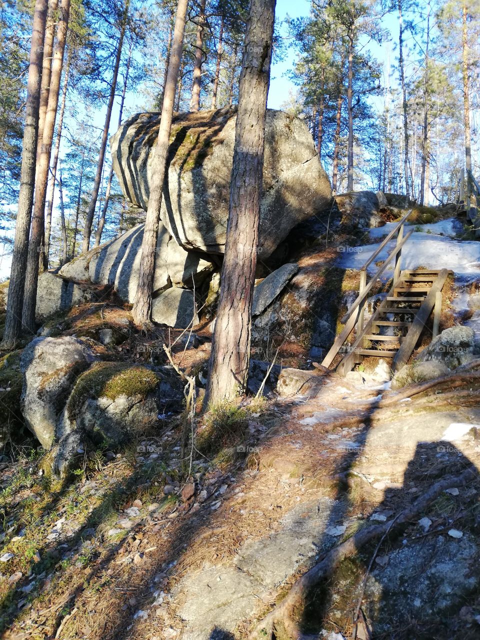 A sunny day on the hilly forest. Many big rocks having moss and lichen on them The wooden stairs shows the guided path for the outdoor exercise.