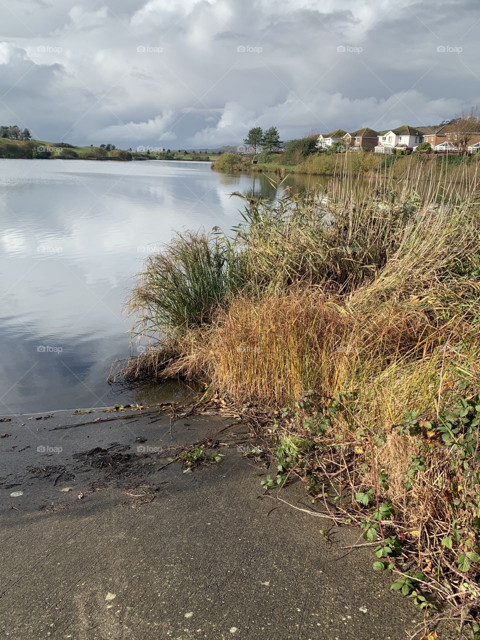 Waterside in the country . Clouds, water and reeds.