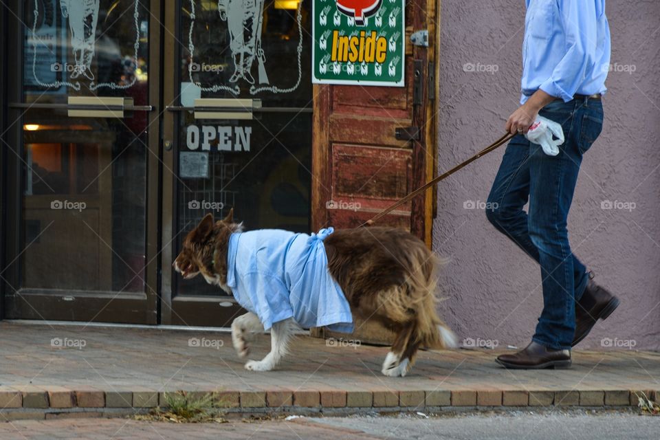 Thunder protecting shirt for dogs