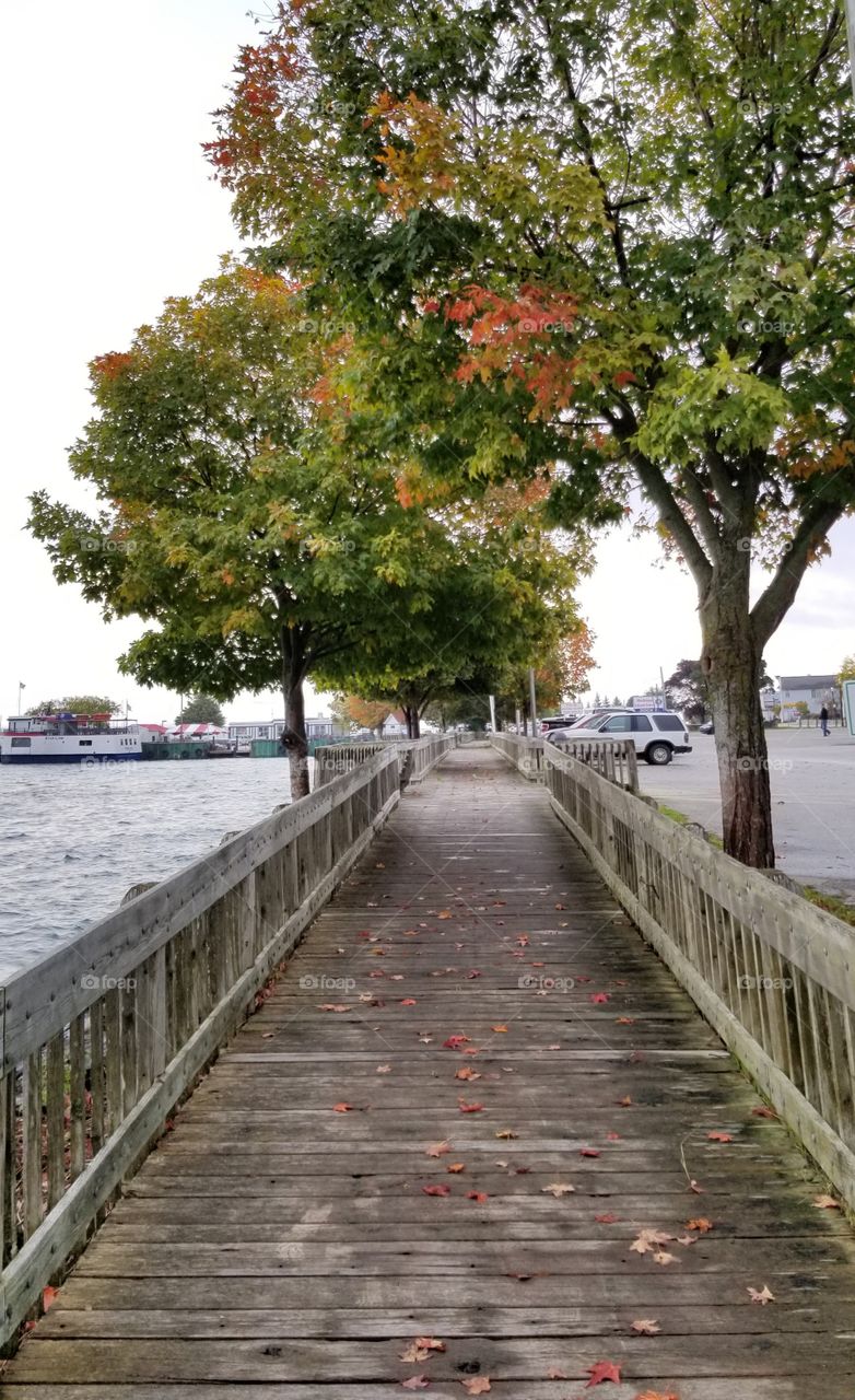 Boardwalk as fall approaches along lake Huron.