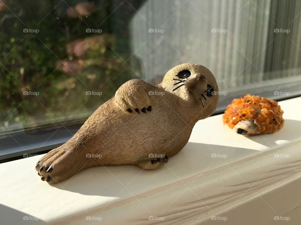 Seal 