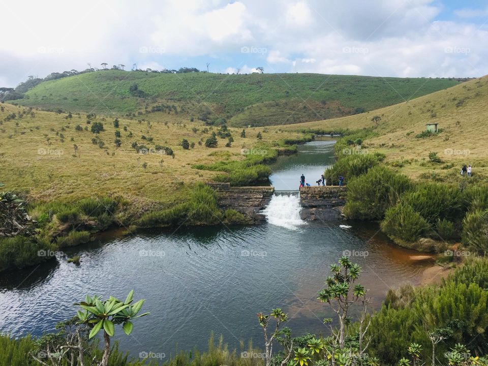 A pond is an area filled with water, either natural or artificial, that is smaller than a lake.