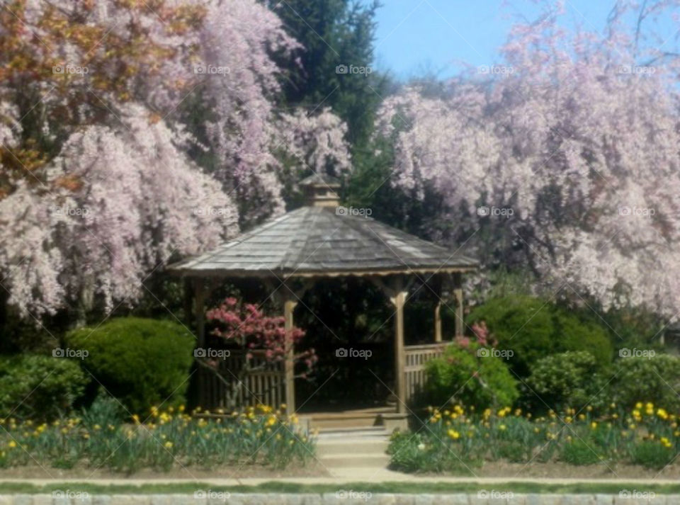 Gazebo
