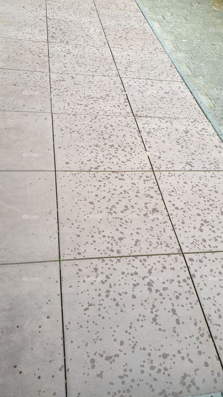 raindrops are falling on the ground