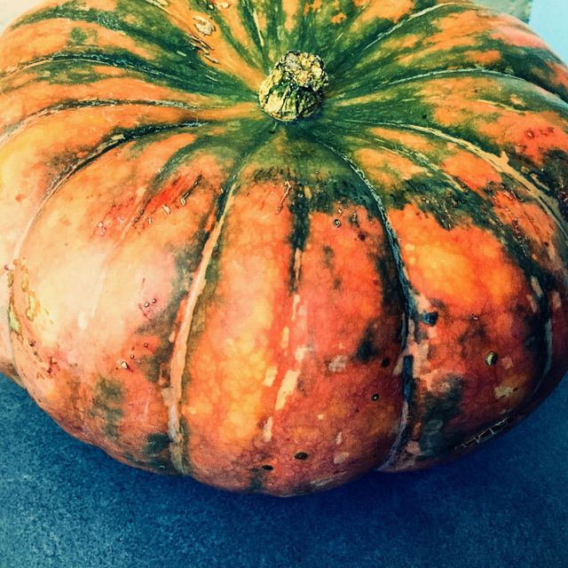 Pumpkin 